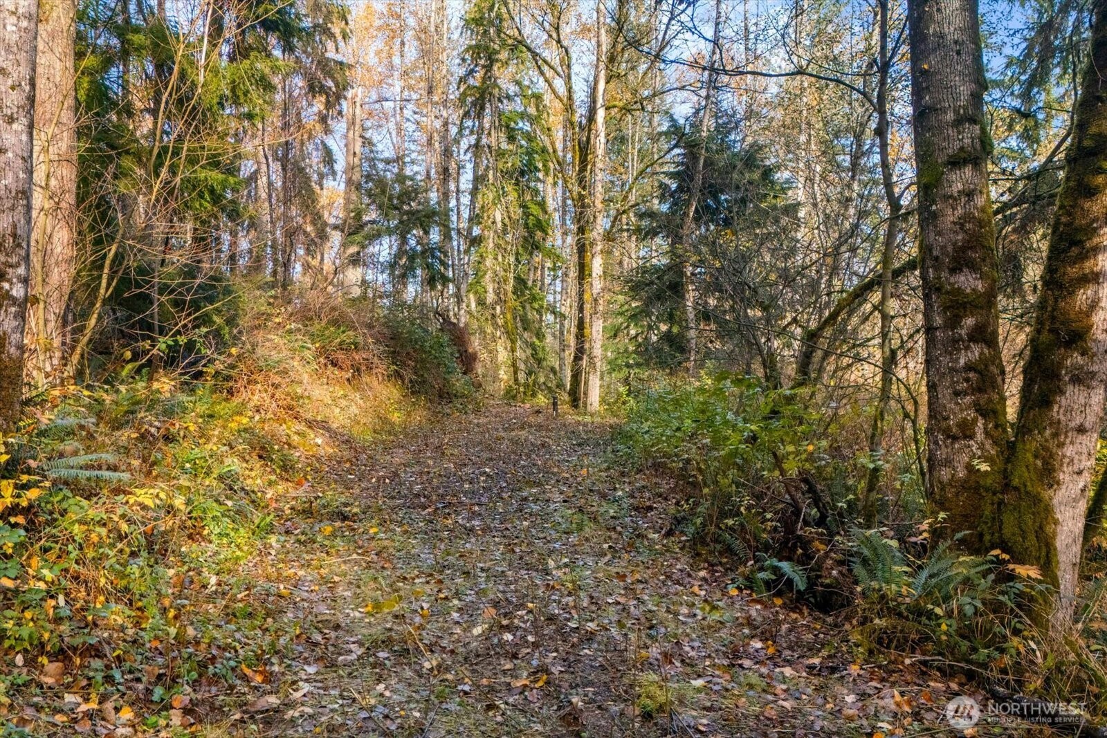 15 Xxx Brookside Place Snohomish WA 98290