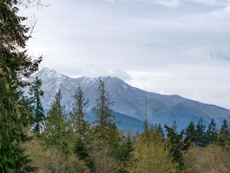 9999 Cedar Glen Lane Port Angeles WA 98362