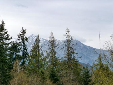 9999 Cedar Glen Lane Port Angeles WA 98362