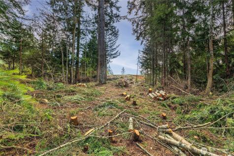 36 Dunbar Court Port Ludlow WA 98365