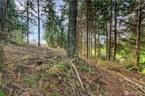 36 Dunbar Court Port Ludlow WA 98365