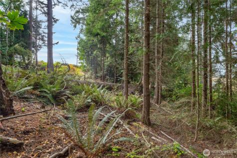 36 Dunbar Court Port Ludlow WA 98365