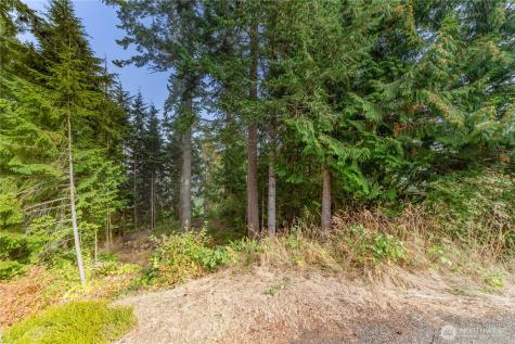 36 Dunbar Court Port Ludlow WA 98365