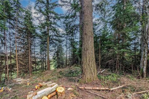 36 Dunbar Court Port Ludlow WA 98365
