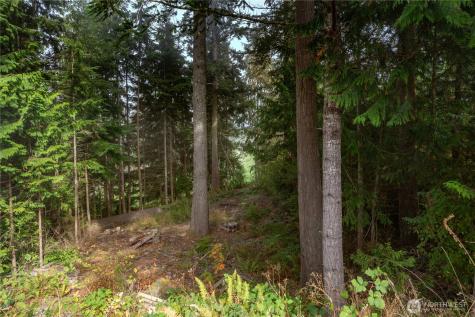 36 Dunbar Court Port Ludlow WA 98365
