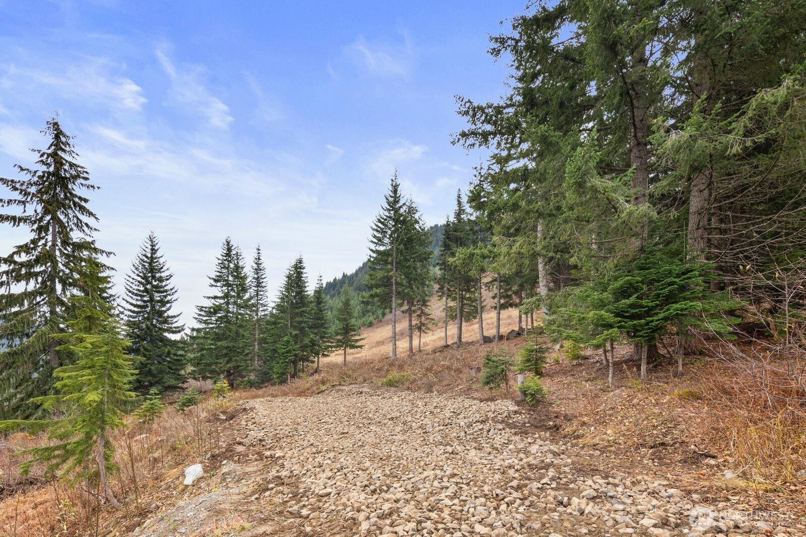 321 Innsbruck Drive Snoqualmie Pass WA 98068