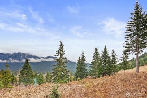 321 Innsbruck Drive Snoqualmie Pass WA 98068
