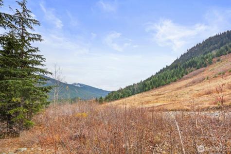 321 Innsbruck Drive Snoqualmie Pass WA 98068