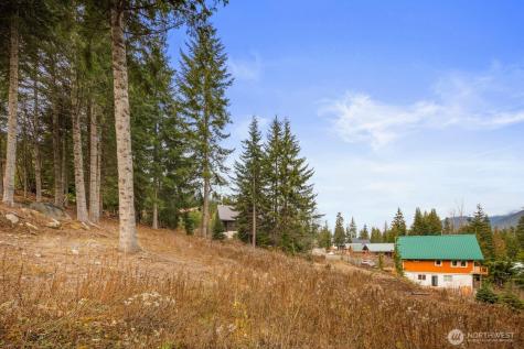 321 Innsbruck Drive Snoqualmie Pass WA 98068