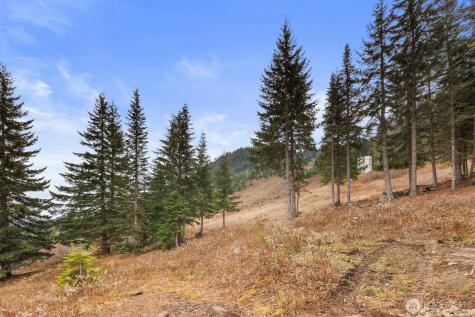 321 Innsbruck Drive Snoqualmie Pass WA 98068