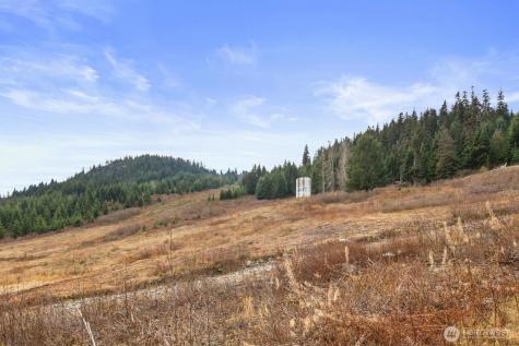 321 Innsbruck Drive Snoqualmie Pass WA 98068