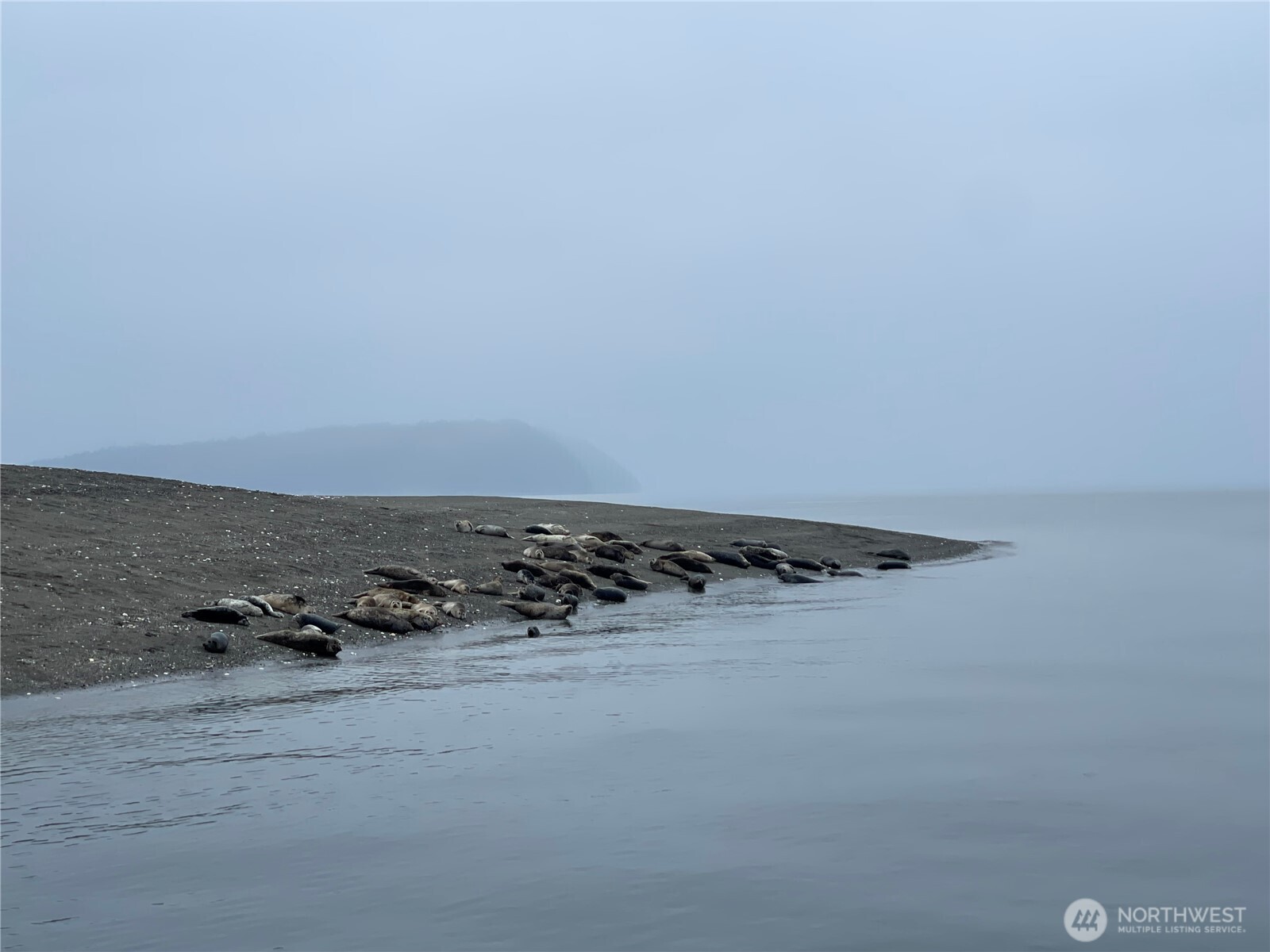 11 Tax Id: 00466300001100 Hat Island WA 98206
