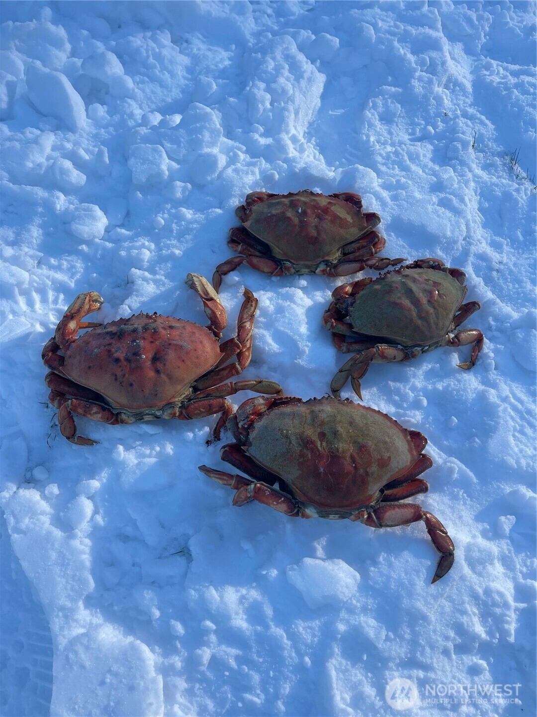 11 Tax Id: 00466300001100 Hat Island WA 98206