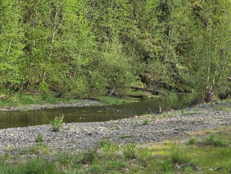140 NE Evergreen Drive Tahuya WA 98588