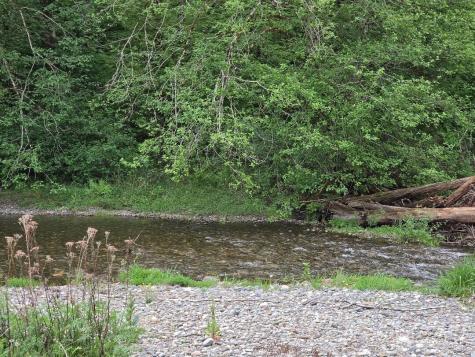 140 NE Evergreen Drive Tahuya WA 98588