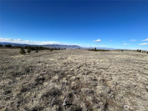 0 Columbia River Bluffs Road Waterville WA 98858