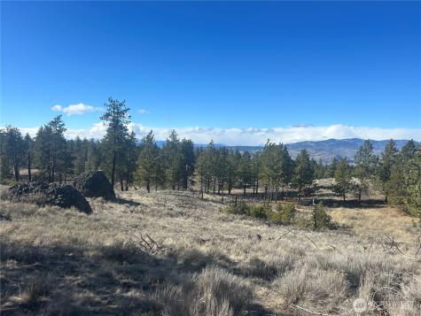 0 Columbia River Bluffs Road Waterville WA 98858