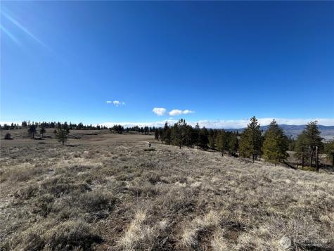 0 Columbia River Bluffs Road Waterville WA 98858