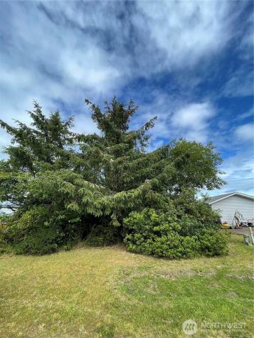 572 Duck Lake Drive NE Ocean Shores WA 98569