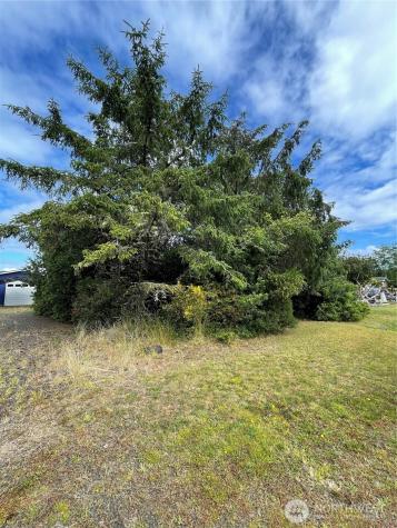 572 Duck Lake Drive NE Ocean Shores WA 98569