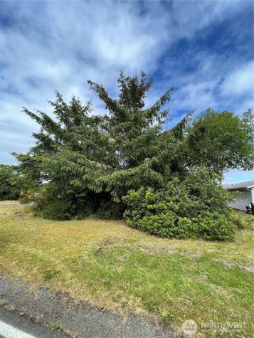 572 Duck Lake Drive NE Ocean Shores WA 98569