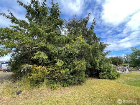 572 Duck Lake Drive NE Ocean Shores WA 98569