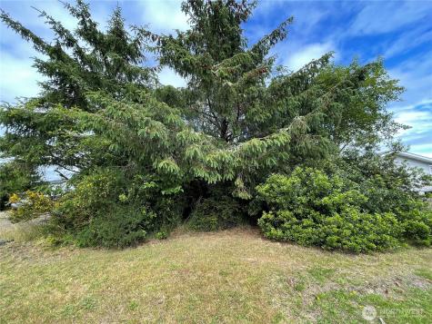572 Duck Lake Drive NE Ocean Shores WA 98569
