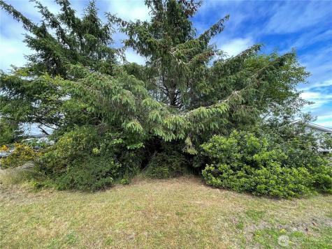 572 Duck Lake Drive NE Ocean Shores WA 98569