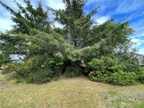 572 Duck Lake Drive NE Ocean Shores WA 98569