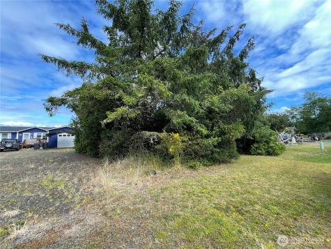 572 Duck Lake Drive NE Ocean Shores WA 98569
