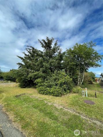 572 Duck Lake Drive NE Ocean Shores WA 98569