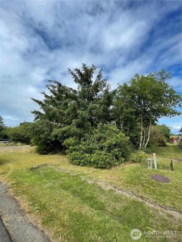 572 Duck Lake Drive NE Ocean Shores WA 98569