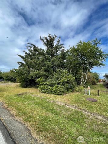 572 Duck Lake Drive NE Ocean Shores WA 98569