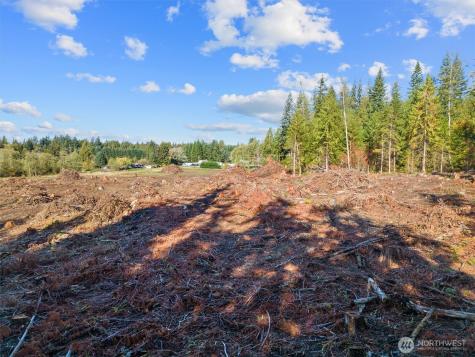 0 288th Street NE Stanwood WA 98292