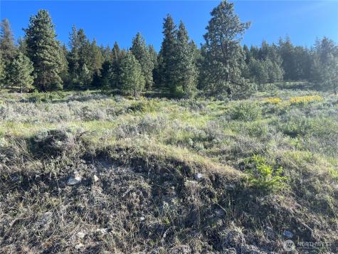 7 Gold Rush Ridge Road Oroville WA 98844