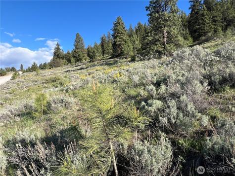 7 Gold Rush Ridge Road Oroville WA 98844