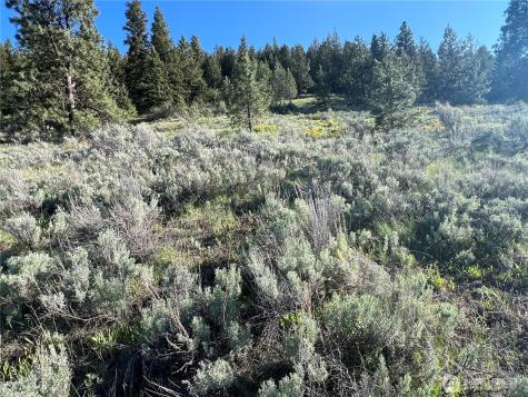 7 Gold Rush Ridge Road Oroville WA 98844