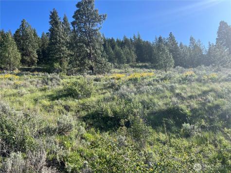 7 Gold Rush Ridge Road Oroville WA 98844