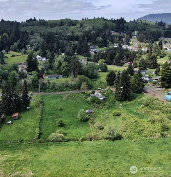 0 Krause Road Raymond WA 98577