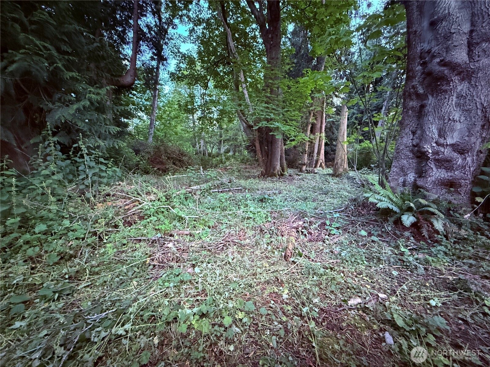 52 Saratoga Drive Hat Island WA 98206