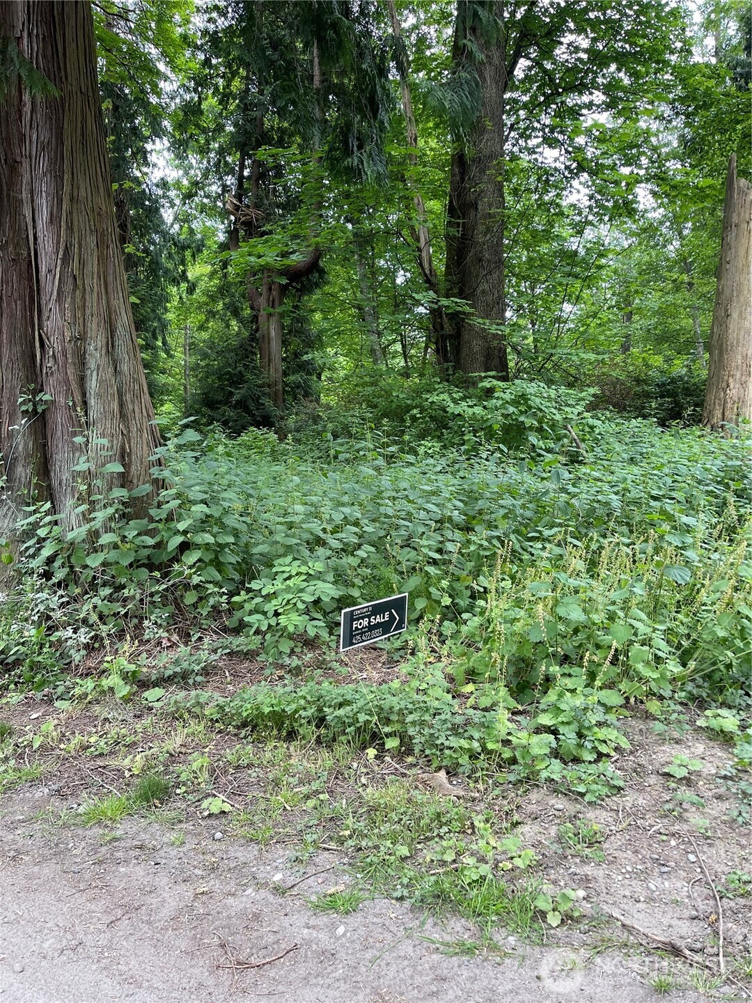 52 Saratoga Drive Hat Island WA 98206