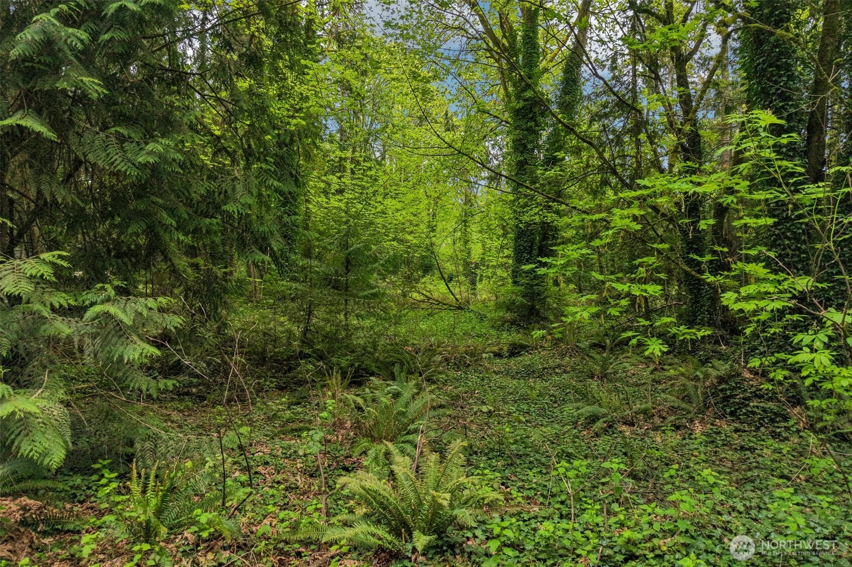 0 Haven Place Camano Island WA 98282