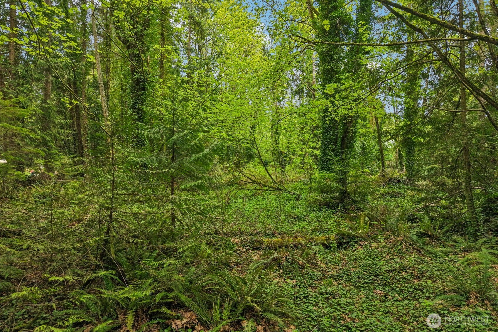 0 Haven Place Camano Island WA 98282