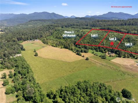 2 Skinner Road Randle WA 98377