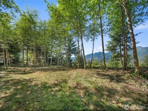 2 Skinner Road Randle WA 98377