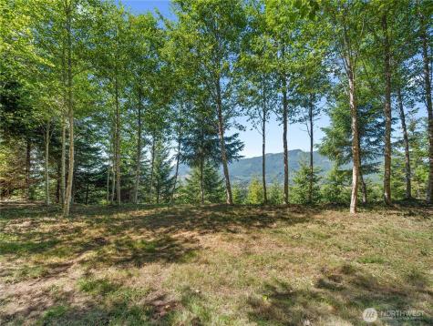 2 Skinner Road Randle WA 98377