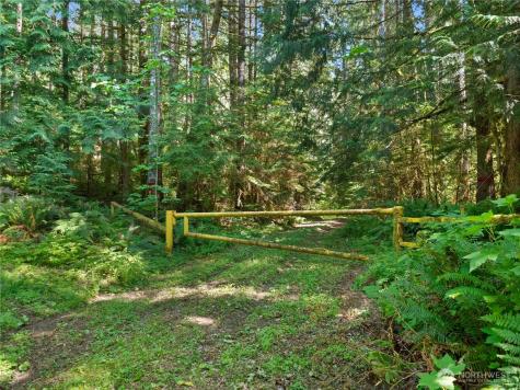 2 Skinner Road Randle WA 98377