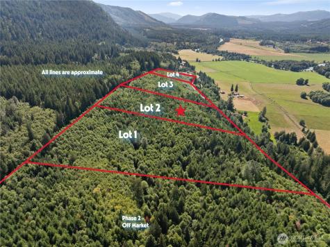 2 Skinner Road Randle WA 98377