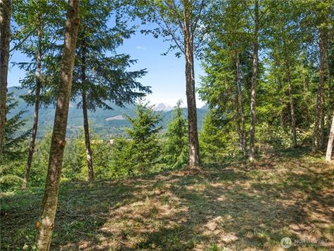 2 Skinner Road Randle WA 98377