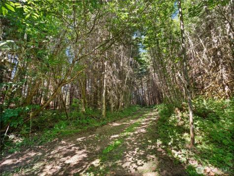 2 Skinner Road Randle WA 98377